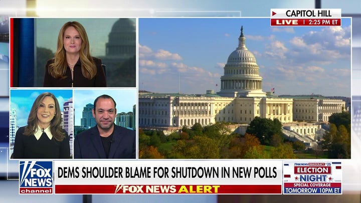 Lisa Boothe calls out ‘crazy’ Democratic base amid ongoing government shutdown