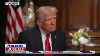 Trump reveals next directives for Musk, DOGE - Fox News