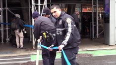 NYC teen shot near Manhattan high school in broad daylight, suspect apprehended was out on bail: NYPD