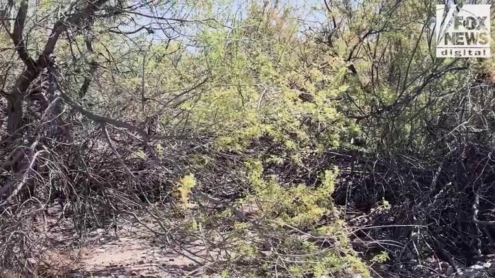 How natural escape paths carve up desert near Nancy Guthrie's home