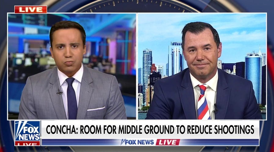 MSNBC’s Chuck Todd echoes Biden’s ‘no absolute right’ to own a gun argument