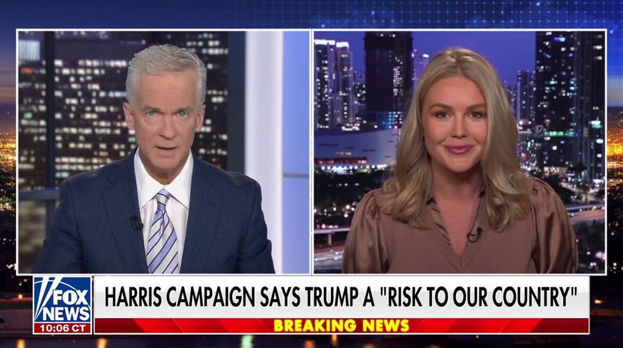 Karoline Leavitt wants Dems to 'look in the mirror' after 'disgusting' comments against Trump
