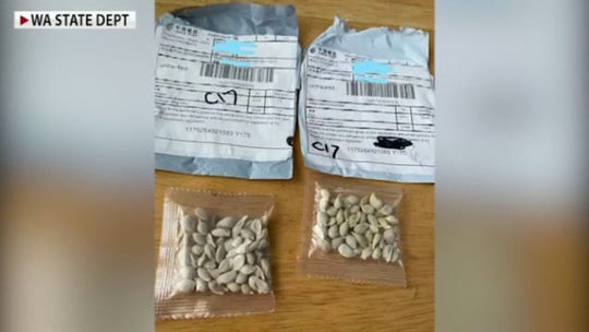 Mysterious seed packets arrive in US from China 