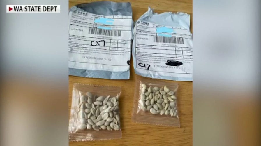 Mysterious seed packets arrive in US from China