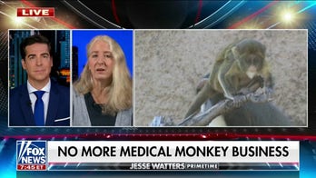 Reported Chinese land buy in Florida for primate testing won't end well, expert warns