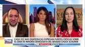 ¿Echarán los Demócratas a Schumer?