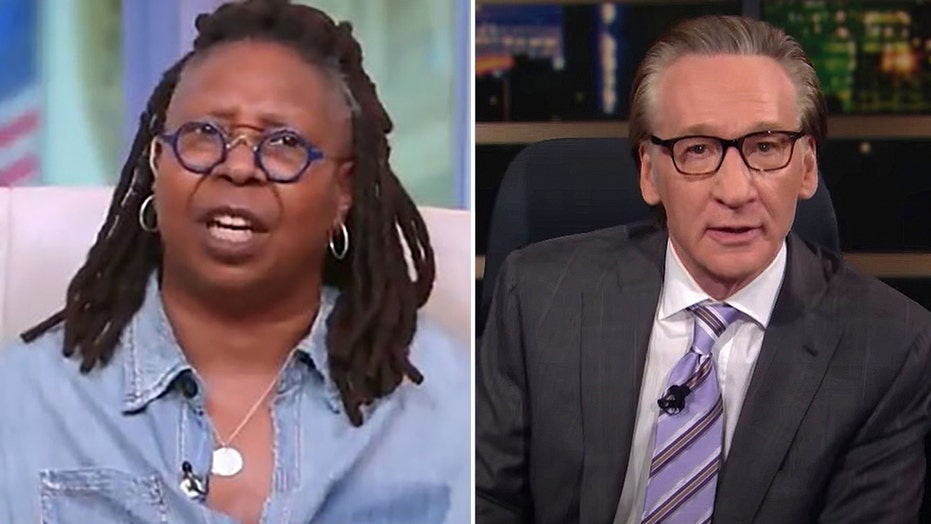 Whoopi Goldberg goes off on Bill Maher over pandemic comments 'How