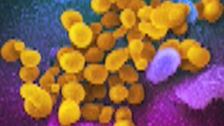 WHO declares coronavirus global ‘pandemic’ due to alarming spread, severity