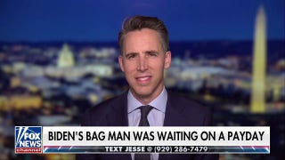 The Democratic Party was run by a 'cabal of donors and insiders,' says Sen. Josh Hawley