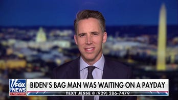 The Democratic Party was run by a 'cabal of donors and insiders,' says Sen. Josh Hawley