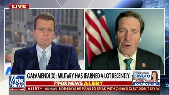  Rep. John Garamendi: We ought to take a deep breath and revel in the fun of shooting down the balloon