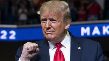 Andy Puzder: Biden wrongly blames Trump for economic impact of coronavirus — both parties backed shutdowns