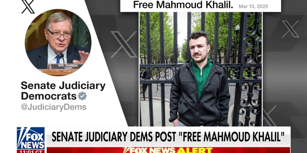 Democrats under fire for backing arrested pro-Hamas agitator