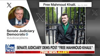 Democrats under fire for backing arrested pro-Hamas agitator  - Fox News