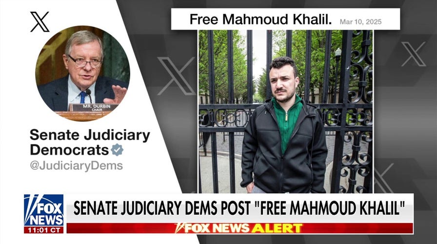 Democrats under fire for backing arrested pro-Hamas agitator 
