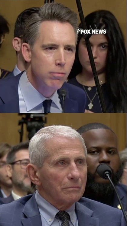 'Under the advice of counsel...': Fauci refuses to answer basic questions at hearing