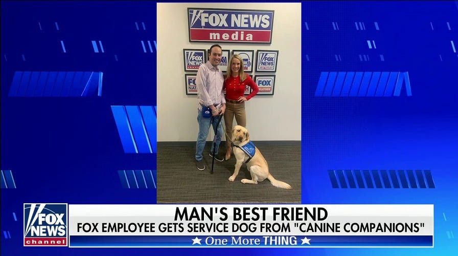 Fox employee gets service dog from Canine Companions