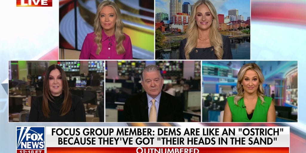 Swing voters deliver 'harsh' criticism of Democratic Party: 'Not a friend of the working class'