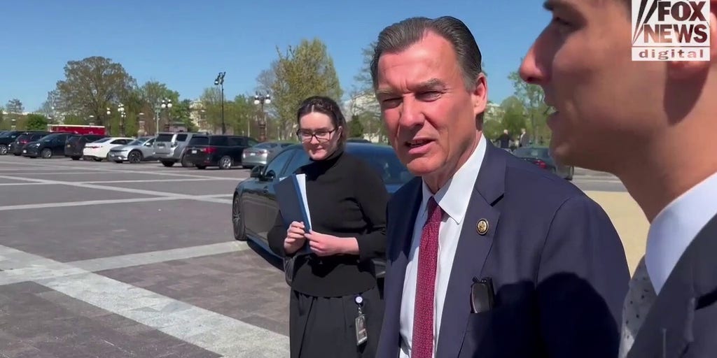 Dem Rep says claim that non-citizen voting happening in NY is a 'myth,' 'completely inaccurate'