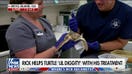 Rich Reichmuth helps clean sea turtle shell at rehabilitation center in Georgia