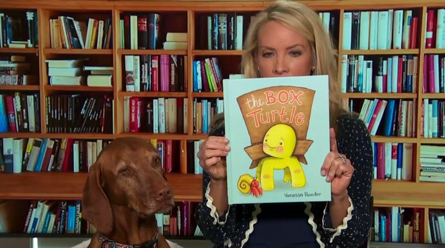 Dana reads 'The Box Turtle' and 'Can I Be Your Dog?'