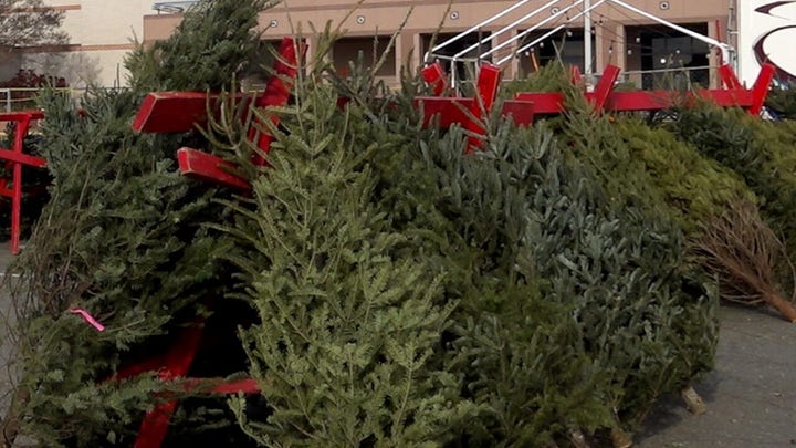 WATCH NOW: Christmas tree retailer goes to great lengths to get trees amid nationwide shortage.