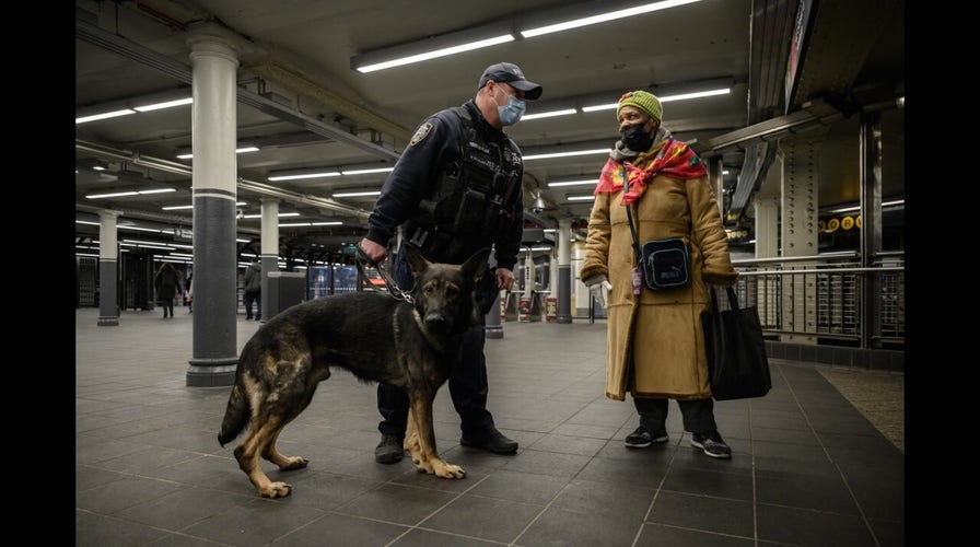 WATCH NOW: New Yorkers worry about subway safety after rider reportedly pushed to death by homeless criminal