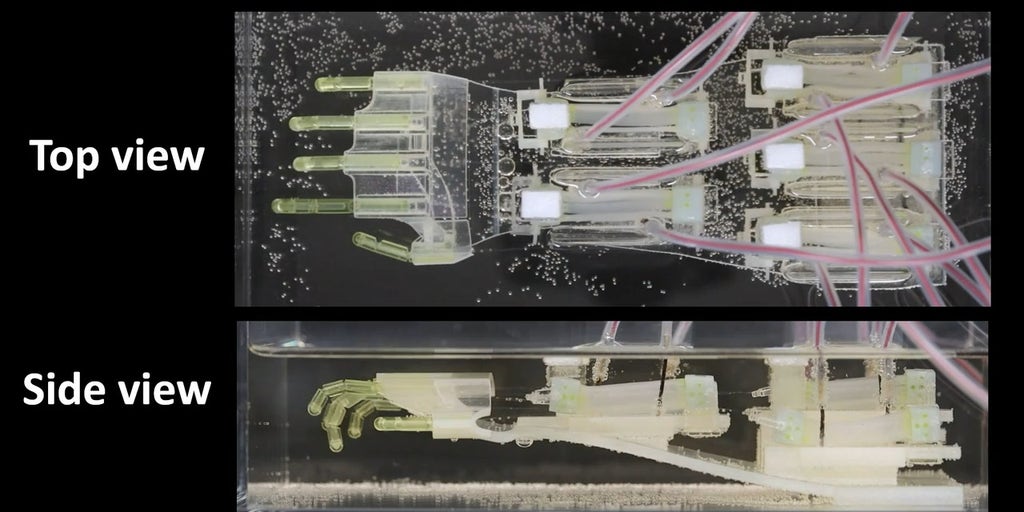 'CyberGuy': 2025 Terminator lab-grown muscle brings biohybrid robot hand to life