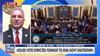 Rep. Carter: Senate Democrats are 'despicable' for trying to to 'blackmail' Americans
