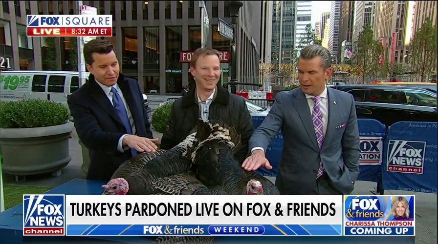 'Fox & Friends Weekend' co-hosts pardon turkeys ahead of Thanksgiving