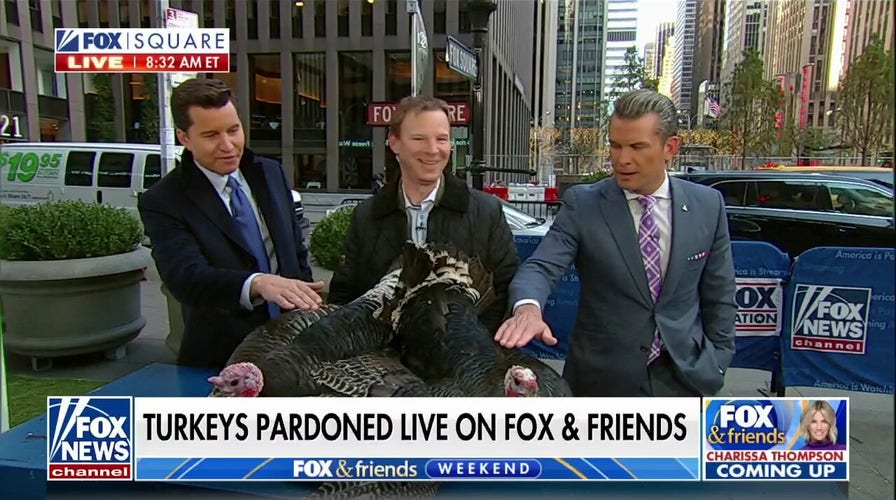 'Fox & Friends Weekend' co-hosts pardon turkeys ahead of Thanksgiving