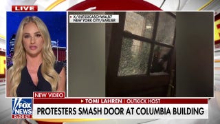 Tomi Lahren rips lawlessness at Columbia as protesters destroy property: 'Inmates are taking over the asylum' - Fox News