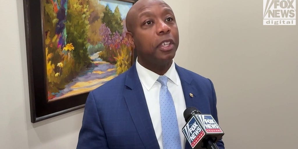 Senate GOP campaign chair Sen Tim Scott says 2026 will be 'the year of affordability' as Trump policies kick in