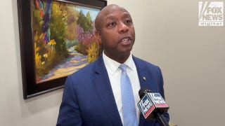 Senate GOP campaign chair Sen Tim Scott says 2026  will be 'the year of affordability' as Trump policies kick in