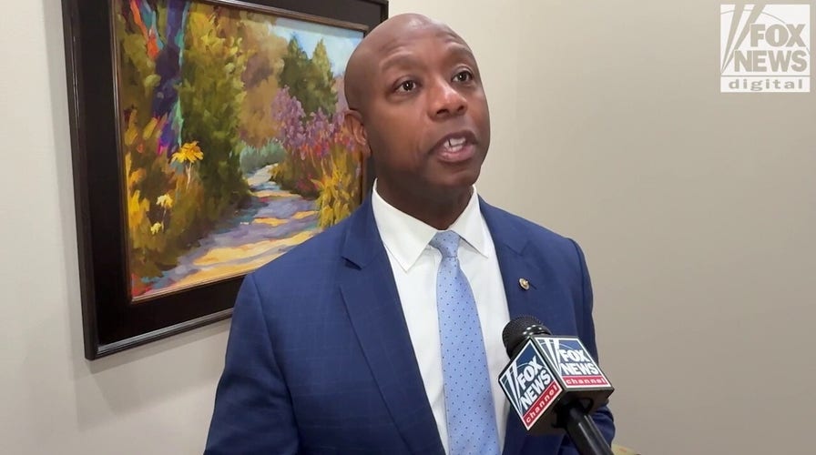 Senate GOP campaign chair Sen Tim Scott says 2026  will be 'the year of affordability' as Trump policies kick in