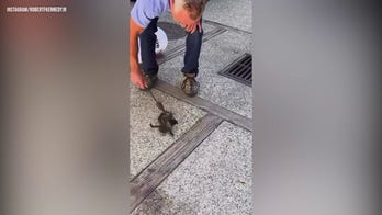 RFK Jr. shares video of rattlesnake rescue with wife Cheryl Hines