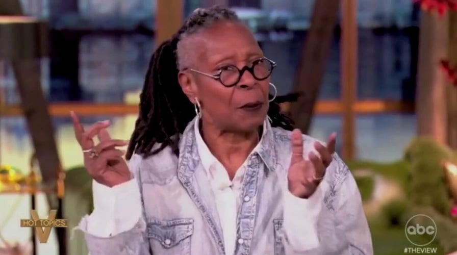 'The View' co-hosts blast Schumer for voting to avert shutdown, promise to grill him during upcoming interview