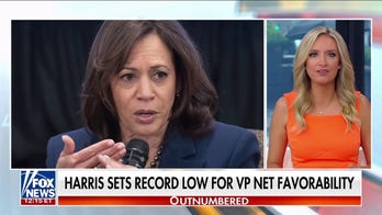 VP Harris scores worst net rating in history of NBC poll