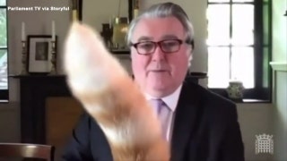 Cat hilariously interrupts virtual UK parliamentary meeting - Fox News