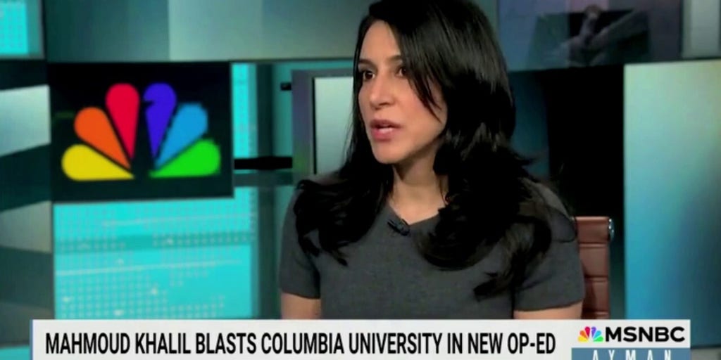 Anti-Israel protester Mahmoud Khalil defended by Columbia University professor following detainment