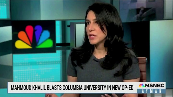 Anti-Israel protester Mahmoud Khalil defended by Columbia University professor following detainment
