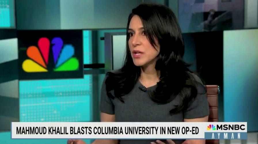 Anti-Israel protester Mahmoud Khalil defended by Columbia University professor following detainment