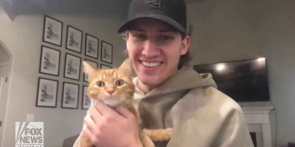 how-tiktok-cat-kurt-earned-his-owner-nearly-9m-followers-fox-news-video