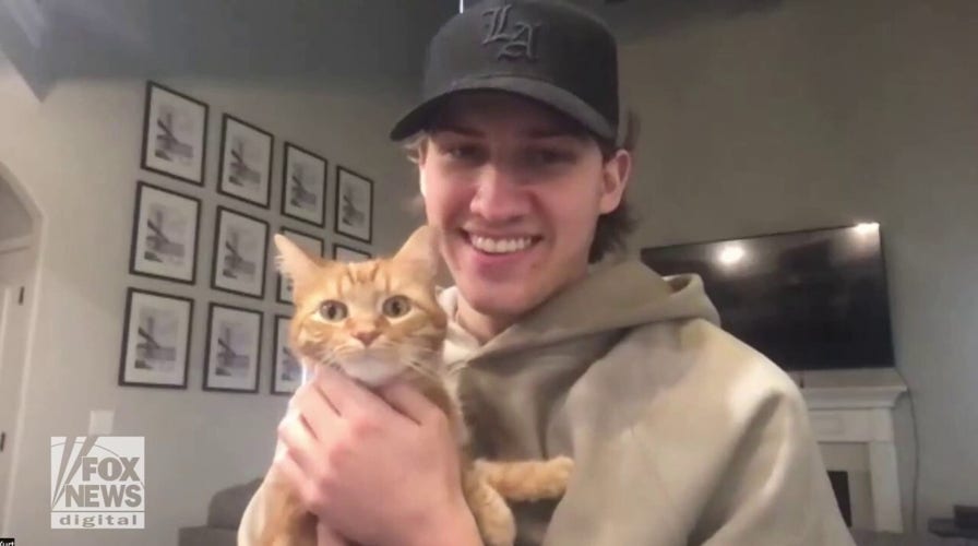 How TikTok cat, Kurt, earned his owner nearly 9M followers
