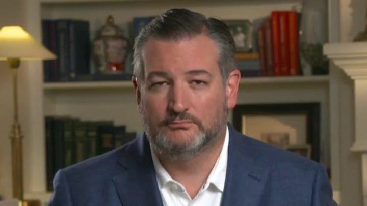 Sen. Cruz: US will pay price for Biden's 'weakness, incompetence' for years to come
