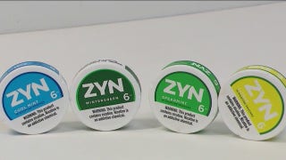 Top Democrats call for a federal crackdown on Zyn nicotine pouches - Fox News