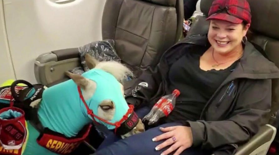 Frontier airlines outlet emotional support dog