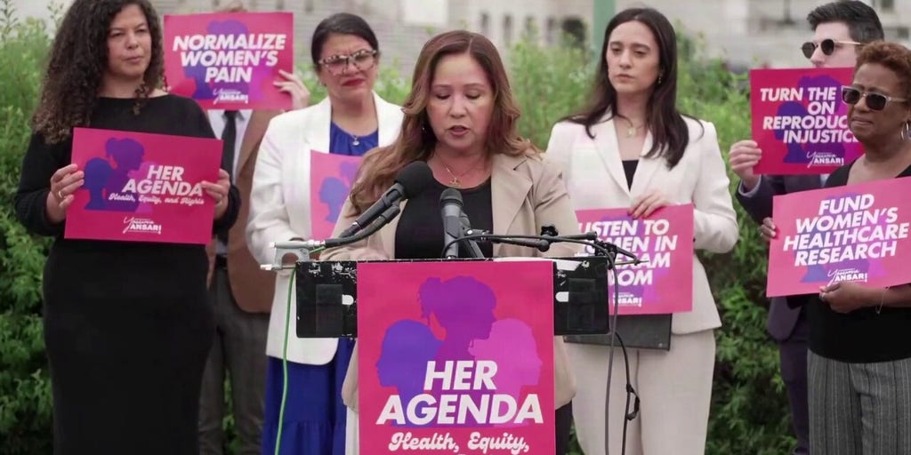 Democratic rep calls lack or reproductive health care leave 'economic violence'