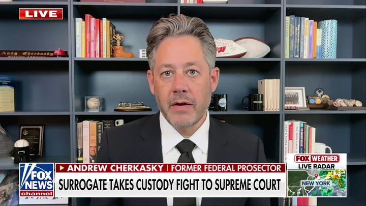 Surrogate custody fight reaches Supreme Court