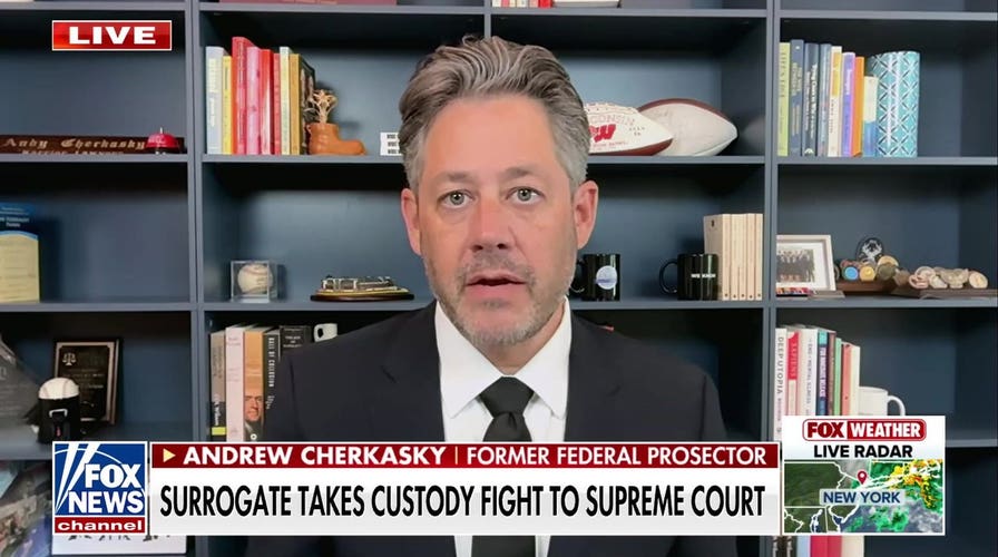 Surrogate custody fight reaches Supreme Court